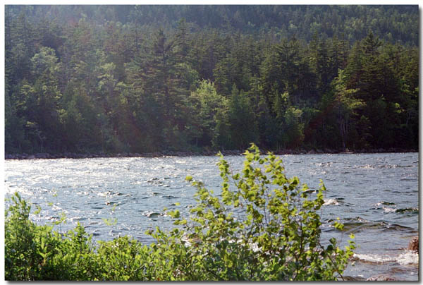 acadia0702_28
