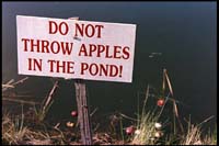 Don't throw apples in the pond!