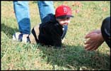 Andrew crawling