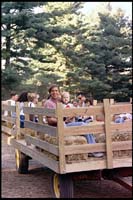 Peter and Andrew on the hay ride