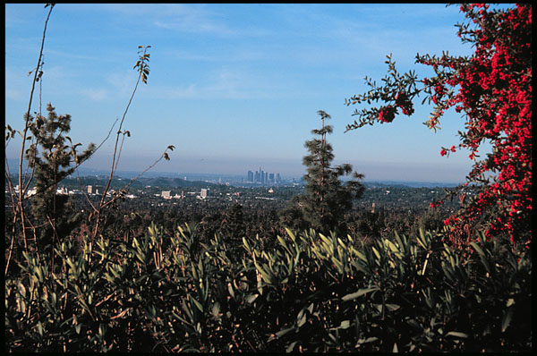 Downtown Los Angeles from Altadena