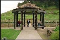 Pine Ridge Winery: Jennifer, Evan, and Marisa
