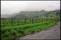 Regusci Winery