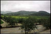 Regusci Winery