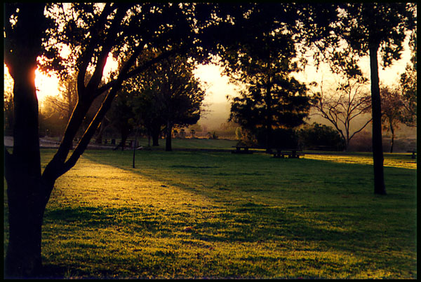 Park at Hansen Dam, Los Angeles