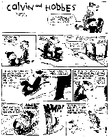 Transparency #5: Calvin and Hobbes 