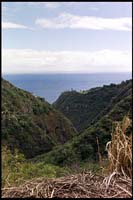 West Maui Backside