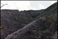 Diamondhead