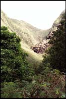 Iao Valley