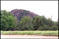 View of Beehive