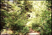 Around the campsite