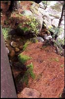 Jordan Pond