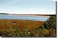 Ogunquit Beach