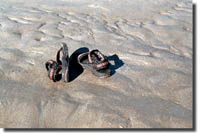 Still Life with Sandals #2