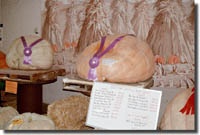 Giant Pumpkins!