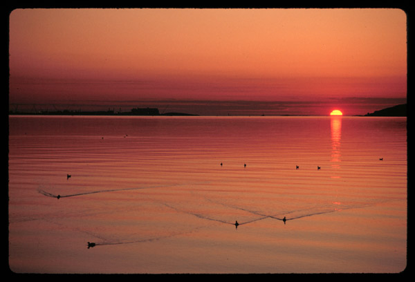 Sunrise from Harbor Point, Boston