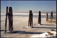 Pilings, Lake Champlain