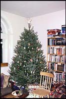 The Christmas Tree