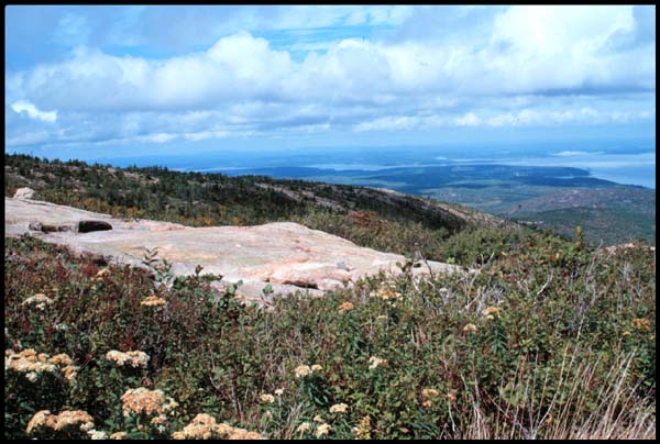 View from Cadillac Mountain