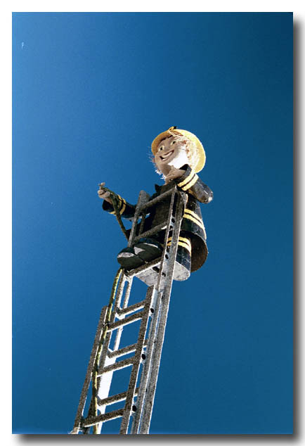 roseparade-12